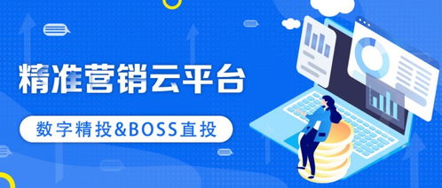 客雷達(dá)傳媒精準(zhǔn)營銷云平臺,直擊頭部流量巨池