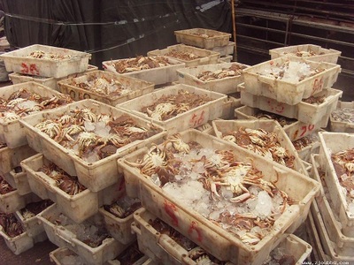 玉環縣美滋滋水產品 鮮活水產品冷凍加工及銷售的優質企業