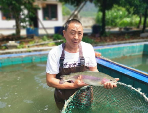 產量下降態勢逆轉，上半年四川漁業經濟總產值同比增長7.79%