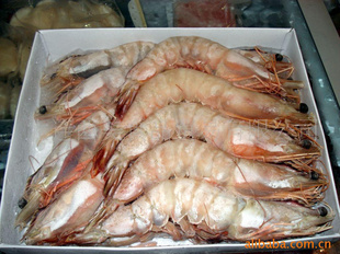 澳洲明蝦 從澳大利亞到中國大連的冷凍加工與批發市場分析