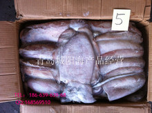 冷凍粗加工黑魚 阿里巴巴平臺上的水產品批發與供應指南